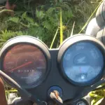LOTE 36550