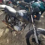 LOTE 36577