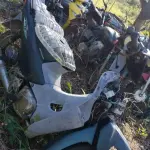 LOTE 36543