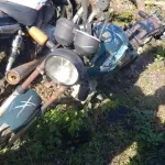 LOTE 36571