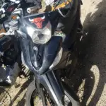 LOTE 36560