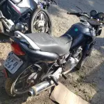 LOTE 36559