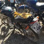 LOTE 36565