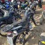 LOTE 36404