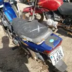 LOTE 36555