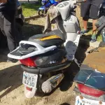 LOTE 36573