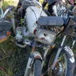 LOTE 36541