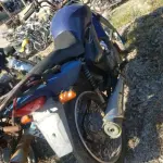 LOTE 36542