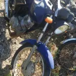 LOTE 36542
