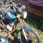 LOTE 36571
