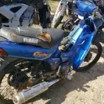 LOTE 36555