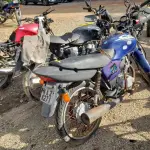 LOTE 36570
