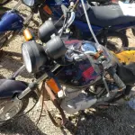 LOTE 36565