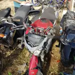 LOTE 36580
