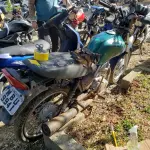 LOTE 36564