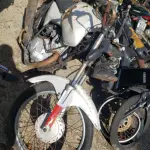 LOTE 36563