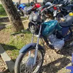 LOTE 36564